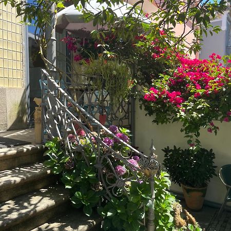 Vila Camelia Porto Exterior photo