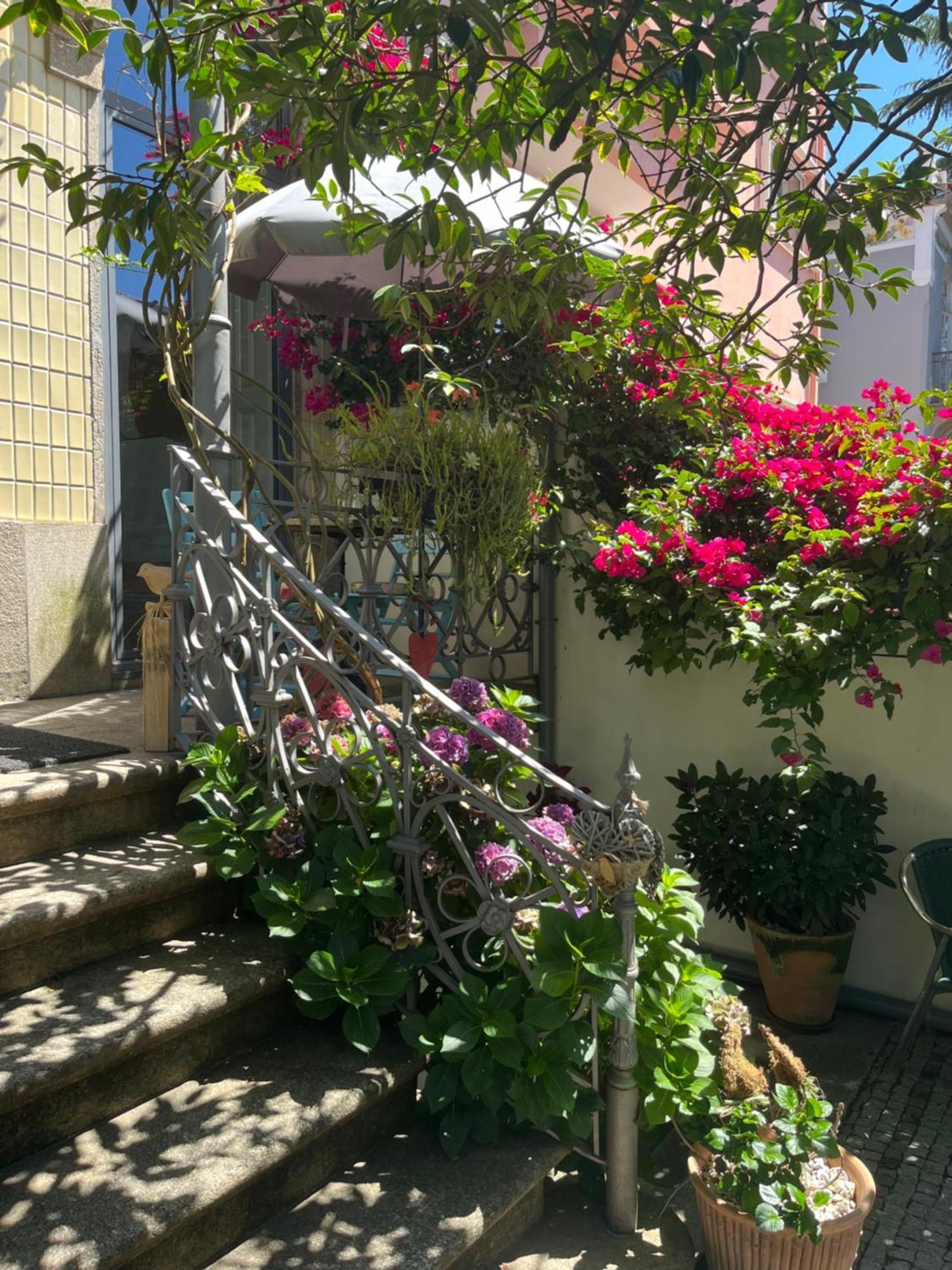 Vila Camelia Porto Exterior photo